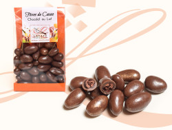 Fèves de Cacao Chocolat au Lait 150g
